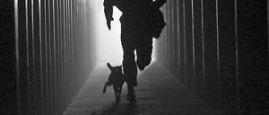 Aufregendes Gassi-Debüt: Szene aus "The Artist" mit Filmhund Archie