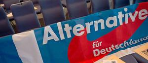 Volksabstimmungen zeigten, wo dem Volk der Schuh drücke, sagt die AfD.