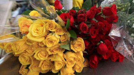 Symbol für Sinnlichkeit und Liebe. Rosen sind das beliebteste Präsent am Valentinstag.