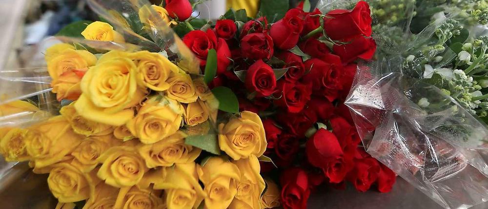 Symbol für Sinnlichkeit und Liebe. Rosen sind das beliebteste Präsent am Valentinstag.