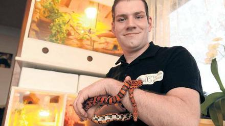 Markus Thonfeld mit Kornnatter Nathara. Diese Schlange lässt sich gut anfassen, sie ist nicht bissig. Am 5. April kann man solche Kornnattern auch auf der Terraristikbörse Berlin in Marzahn betrachten. 