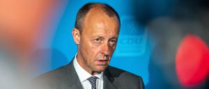 Friedrich Merz schmiedet eine Allianz gegen das „Weiter so“.