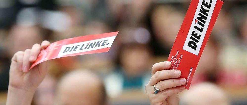 Raushalten: Die Linke kann den Wettbewerb im Euro-Skeptizismus ohnehin nicht gewinnen.