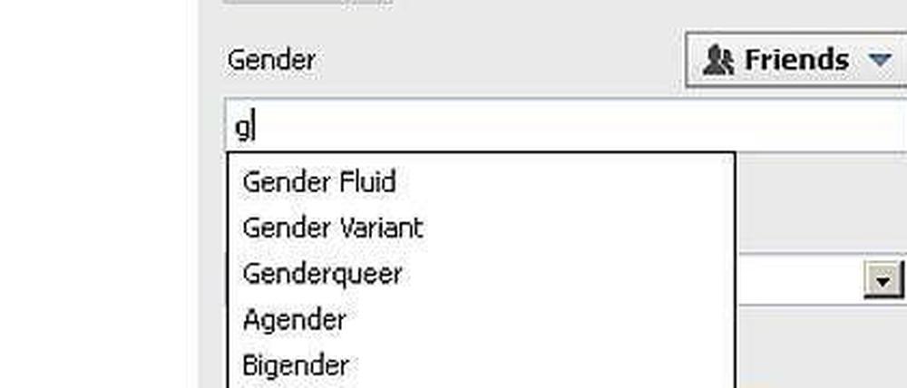 Eine von vielen Auswahlmöglichkeiten. Erklärungen gibt es leider keine.