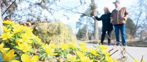 Frühblüher. Nicht nur die Menschen lockt das schöne Wetter nach draußen, auch Blümchen sprießen dieses Jahr früher als sonst – hier zum Beispiel im Botanischen Garten. 