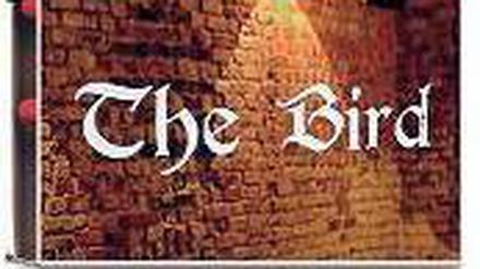 The Bird, Am Falkplatz 5, Prenzlauer Berg, Tel. 510 532 83, geöffnet täglich ab 18 Uhr. 