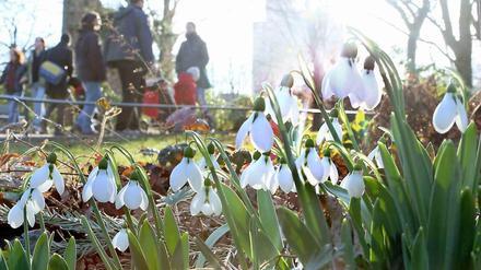 Es ist Frühling in Berlin.