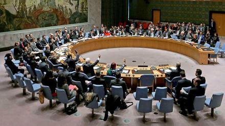 Die Syrien-Resolution wurde am Samstag, 22. Februar 2014, einstimmig angenommen.