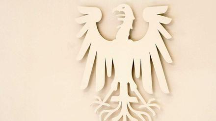 Weiß, weiß, weiß sind alle meine Adler - noch.