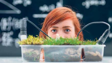 Labor für den Markt von morgen. Eine Übersicht zukunftsträchtiger Branchen und passender Studiengänge findet man zum Beispiel unter studieren.de/studium-mit-zukunft.0.html. 
