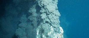 Belebt. Heiße Quellen in der Tiefsee, aus denen metallhaltige Lösungen strömen, sehen nicht gerade wie ein Garten Eden aus. Tatsächlich leben selbst an diesen Schloten zahlreiche Mikroorganismen, die auf die extremen Bedingungen spezialisiert sind.