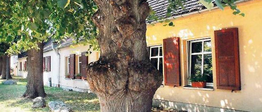 Das Dorf lockt: Brandenburg wird für ältere Berliner als Wohnsitz beliebt. Besonders wenn es so malerisch aussieht, wie in diesem Gutspark in Petzow.