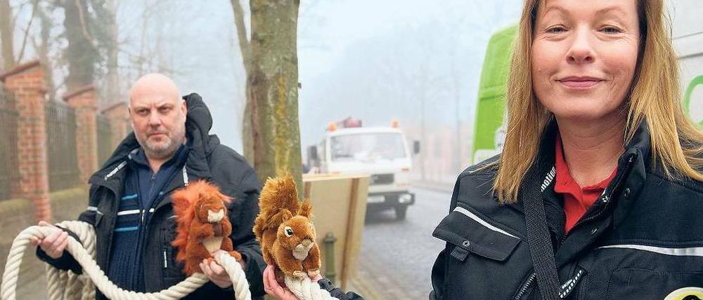 Vorsicht, Eichhörnchen kreuzt. Das neue Seil hängt neun Meter über der Straße.