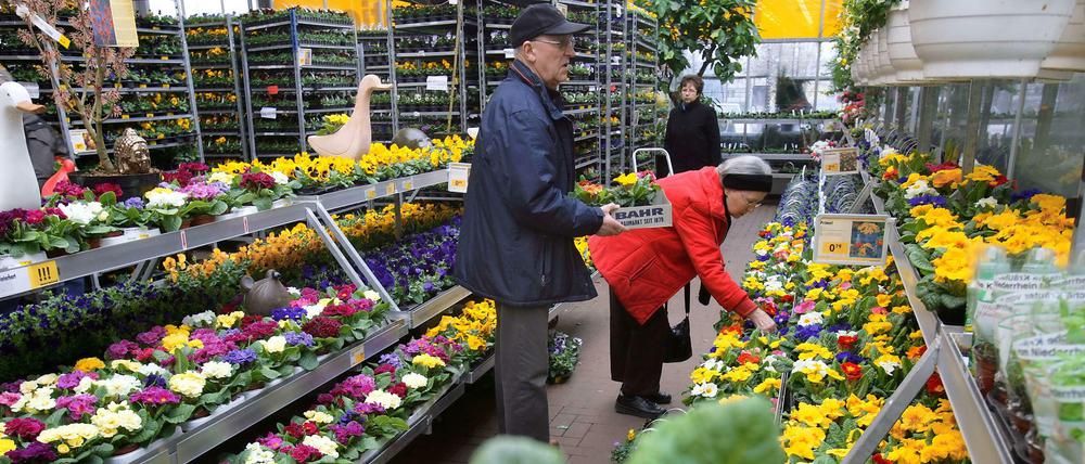 Das Geschäft in den Gartencentern boomt seit vergangenem Freitag.