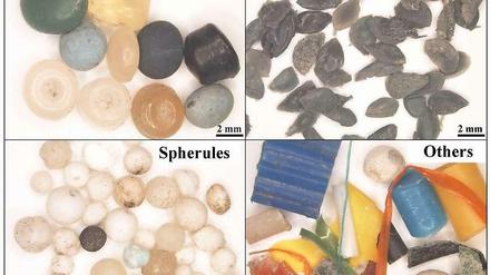 Verschiedene Arten von kleinem Plastikmüll, wie er in der Donau gefunden wurde.