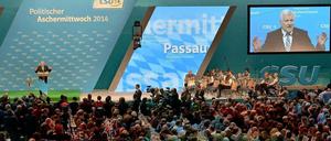 Kann alles alleine, braucht niemanden - der Bayer. Sagt CSU-Chef Horst Seehofer in Passau.
