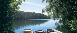 Verschwiegener Bötzsee, bald wieder so grün wie auf diesem Sommerbild.