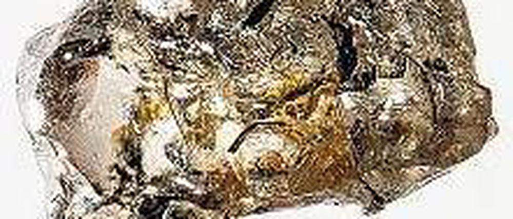 Edel. In diesem Diamant fanden die Forscher winzige Stücke des Minerals Ringwoodit - und darin rund ein Gewichtsprozent Wasser. 