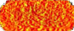 Muster des Urknalls. Die Abbildung zeigt die kosmische Hintergrundstrahlung über dem Südpol. Die schwarzen Striche zeigen die Polarisation der Mikrowellen. Die Muster werden nach Ansicht der Forscher hervorgerufen durch Gravitationswellen. 