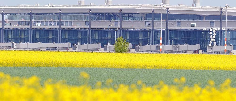 Hinter blühenden Rapsfeldern sieht man am Mittwoch 09.05.2012 den Main Pier des neuen Hauptstadtflughafens BER in Schönefeld. Wegen Brandschutzproblemen wurde der Eröffnungstermin des neuen Flughafen verschoben.