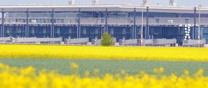 Hinter blühenden Rapsfeldern sieht man am Mittwoch 09.05.2012 den Main Pier des neuen Hauptstadtflughafens BER in Schönefeld. Wegen Brandschutzproblemen wurde der Eröffnungstermin des neuen Flughafen verschoben. 