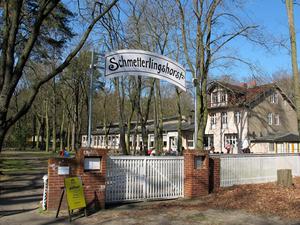 Der Schmetterlingshorst am Langen See, am Fuße der Müggelberge.