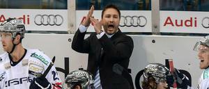 Beim Rückspiel geht es um alles. Trotz energischer Anweisungen von Trainer Jeff Tomlinson verloren die Eisbären 1:4 im Hinspiel gegen Ingolstadt.