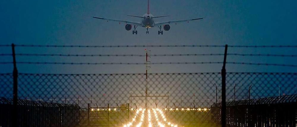 Keine Vögel da? Na dann guten Flug! Maschine im Landeanflug auf Berlin-Schönefeld.