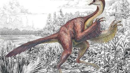 Vogeldino: Anzu wyliei nach einer Abbildung des Carnegie Museum of Natural History