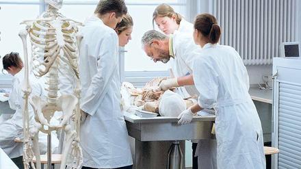 Medizinstudierende und ihr Professor stehen in der Pathologie an einem Präparationstisch.