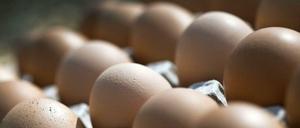 Ein Bio-Ei ist nur dann ein Bio-Ei, wenn die Henne genug Auslauf hatte.