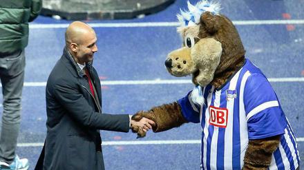 Auch von dieser Stelle Herzlichen Glückwunsch! Maskottchen Herthinho gratuliert Pep Guardiola zur Meisterschaft.