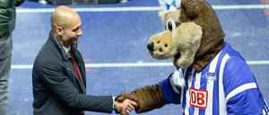 Auch von dieser Stelle Herzlichen Glückwunsch! Maskottchen Herthinho gratuliert Pep Guardiola zur Meisterschaft.