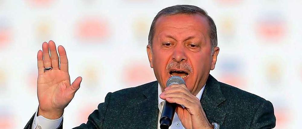 Glückwunsch zum Abschuss. Premier Erdogan bei einer Wahlkundgebung. 
