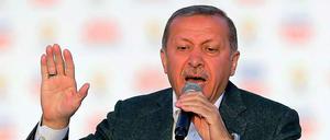 Glückwunsch zum Abschuss. Premier Erdogan bei einer Wahlkundgebung. 