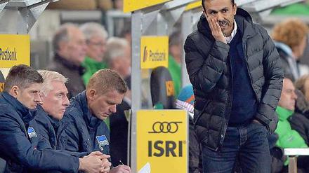 Jos Luhukay und seine Kollegen von der Trainerbank.