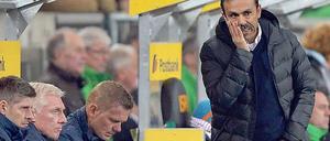 Jos Luhukay und seine Kollegen von der Trainerbank.