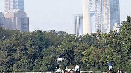 Im Galopp. Das Zentrum soll bis 2018 auf dieser Pferderennbahn entstehen.