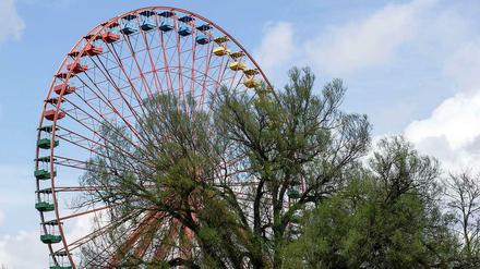 Das Riesenrad im Spreepark. 