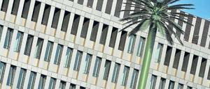 Palme oder Antenne? Die Kunst am BND-Bau gibt Rätsel auf.
