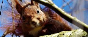 Raus ins Grüne! Es soll schön werden, sonnig, bis zu 19 Grad.