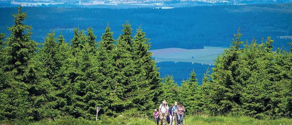 Das Fichtelgebirge ist nicht der Himalaya. Doch der Aufstieg zum 1051 Meter hohen Schneeberg ist keineswegs ohne.