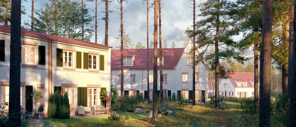 Idylle, wo heute Ruinen verfallen: Eine Simulation zeigt, wie das Areal künftig aussehen soll.