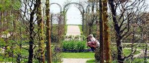 Auf Achse. Der Garten der Liebermann-Villa ist nun weitgehend rekonstruiert. Jetzt kommt die herrliche Anlage mit ihren Sichtachsen wieder richtig zur Geltung. 