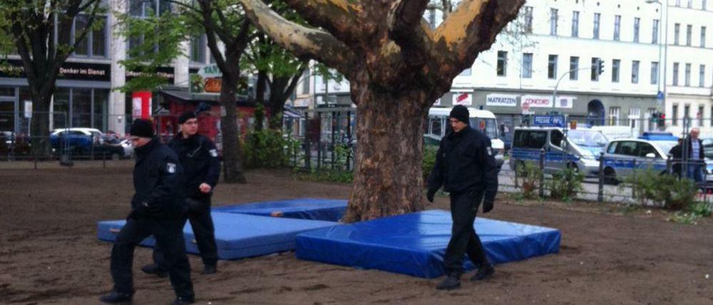 Die Polizei hat unter der Platane auf dem Oranienplatz, auf der die Frau seit Dienstag ausharrt, zur Absicherung Turnmatten ausgelegt.
