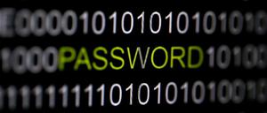 Wegen der Sicherheitslücke "Heartbleed" müssen Tausende Nutzer ihre Passwörter im Internet ändern.