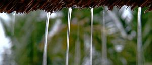 Tropensturm. Unsere Autorin hat in Tansania einiges erlebt, jetzt kehrt sie zurück nach Berlin.