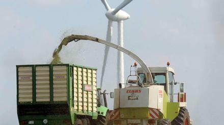 Etwa zehn Prozent ihres Umsatzes erwirtschaften Landwirte hierzulande mit Biogasanlagen. Aus Mais und Ernteabfälle entsteht so Energie.