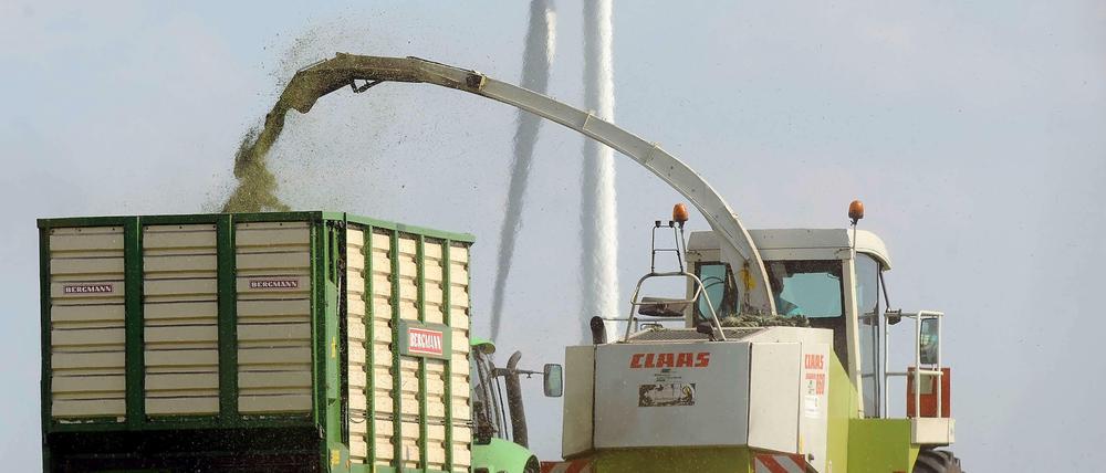 Etwa zehn Prozent ihres Umsatzes erwirtschaften Landwirte hierzulande mit Biogasanlagen. Aus Mais und Ernteabfälle entsteht so Energie.