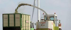 Etwa zehn Prozent ihres Umsatzes erwirtschaften Landwirte hierzulande mit Biogasanlagen. Aus Mais und Ernteabfälle entsteht so Energie.